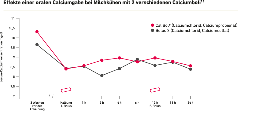 Liniendiagramm zeigt Serum-Calciumkonzentration bei Milchkühen über 24 Stunden nach Gabe von zwei Calciumboli-Typen: CaliBol® hält tendenziell höhere Calciumwerte als Bolus 2 (grau)